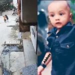 दिल्ली के संगम विहार में 18 मह के बच्चे पर आवारा कुत्ते का हमला